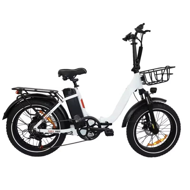 BLJ Ebike 20X4.0 Tire 750W 48V 13AH 20 Inches Men'S and Women'S Electric Bicycle, Suitable for Urban Beaches.